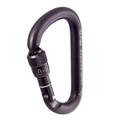 Rock Exotica Pirate Carabiner - Elevated Climbing