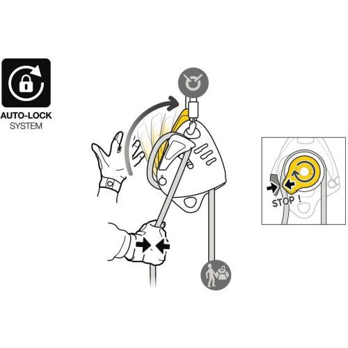 D024AA00 MAESTRO S focus 4 LowRes 37851 c268bd18 96ea 45a6 86f3 5b6a5f761a4a